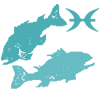 Peixes