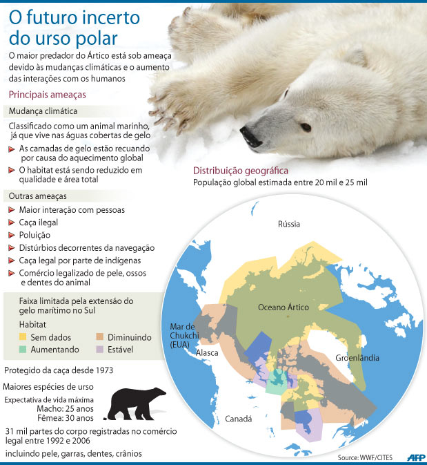 O futuro incerto do urso polar