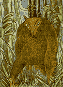 Caipora, o pai-do-mato