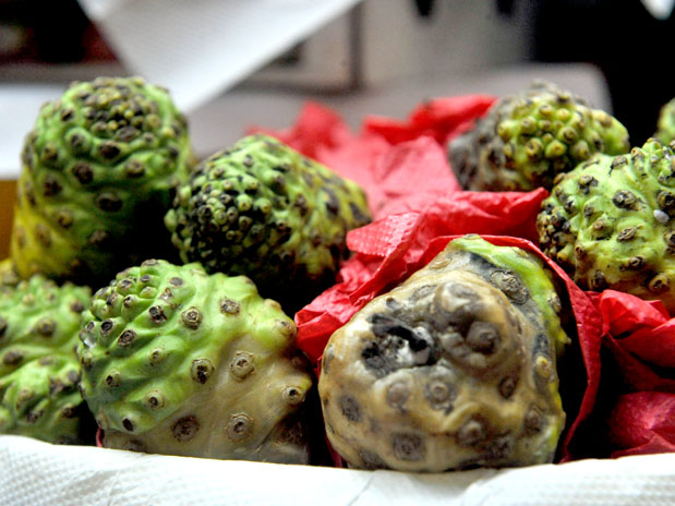 Edson Lopes Jr. / Terra