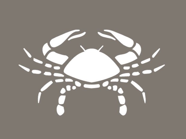 Saiba qual a profissão mais adequada para cada signo