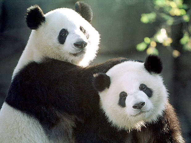 Touro – 21/04 a 20/05