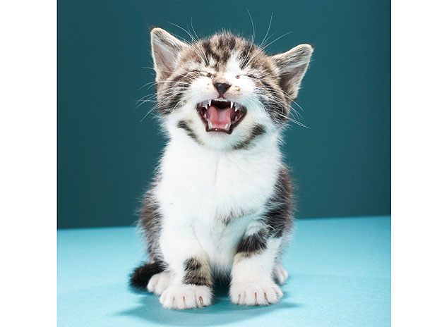 Gêmeos – 21/05 a 20/06