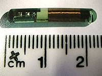 O primeiro implante do Dr. Warwick