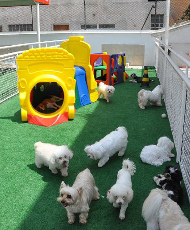 Vila dos Cães/Divulgação