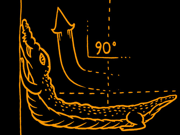 Diego Medina / Arte Terra