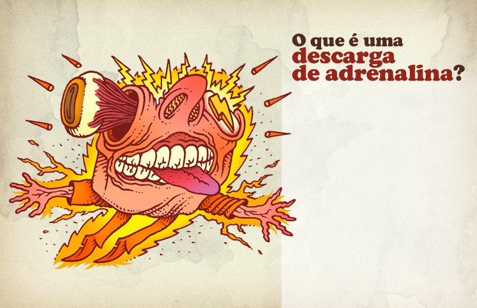 Arte: Diego Medina/Arte Terra