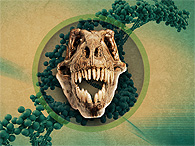 Animais extintos - Você sabia?