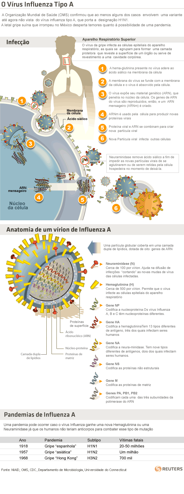 influenza-tipo-a - Terra