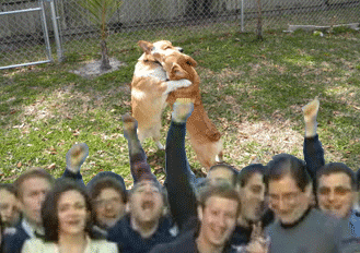 Momento de entrada na Bolsa vira "meme"