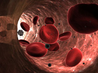 Doenças que mais matam no Brasil e no mundo