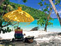 U.S Virgin Islands Department of Tourism