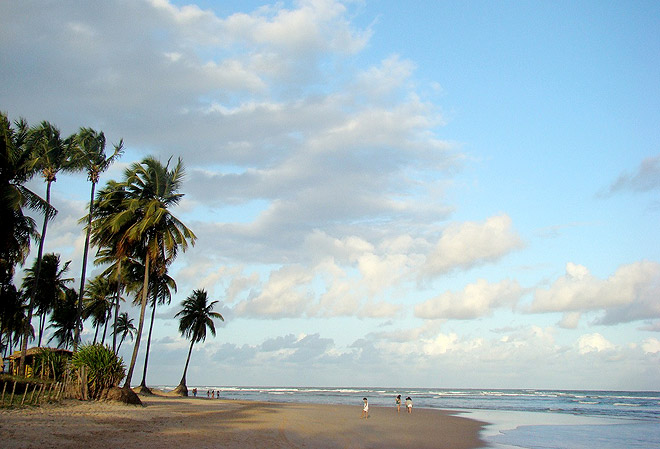 foto: David Campbell/Flickr