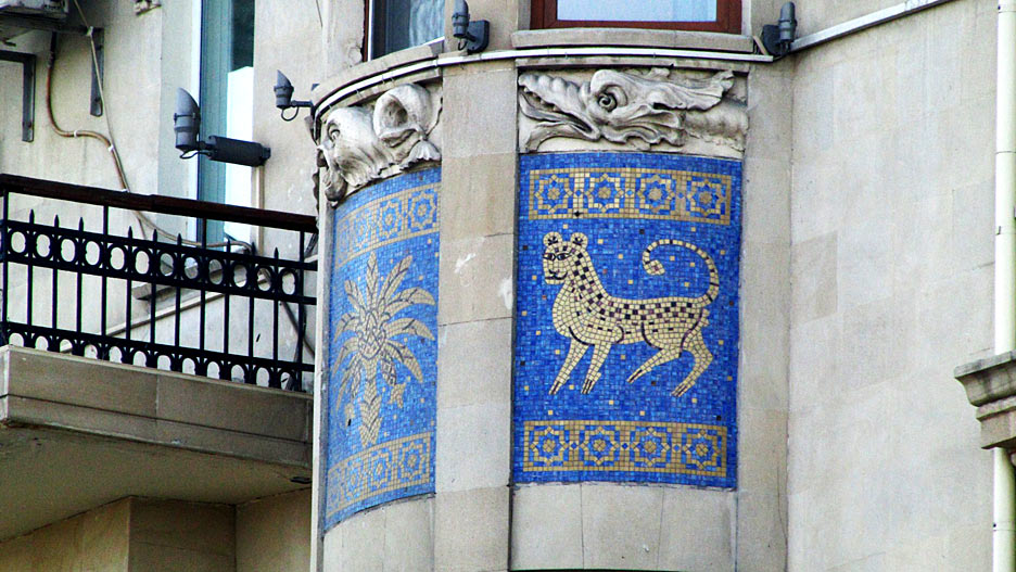 Solly Boussidan/Especial para Terra