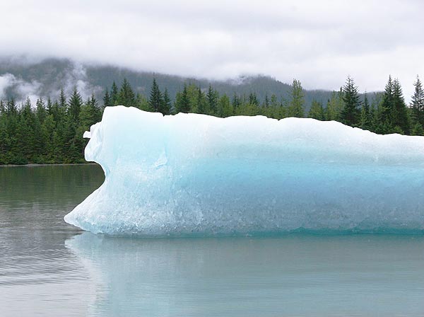 Foto: Ed Hill/stock.xchng