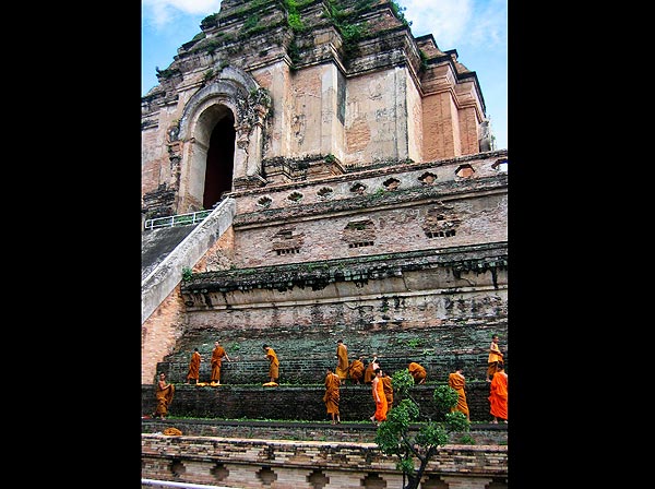 Foto: Clodia Porteous/stock.xchng