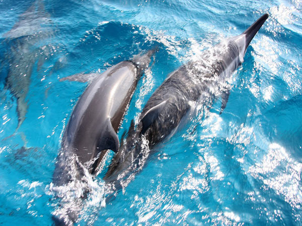 Antônio Melcop/Embratur