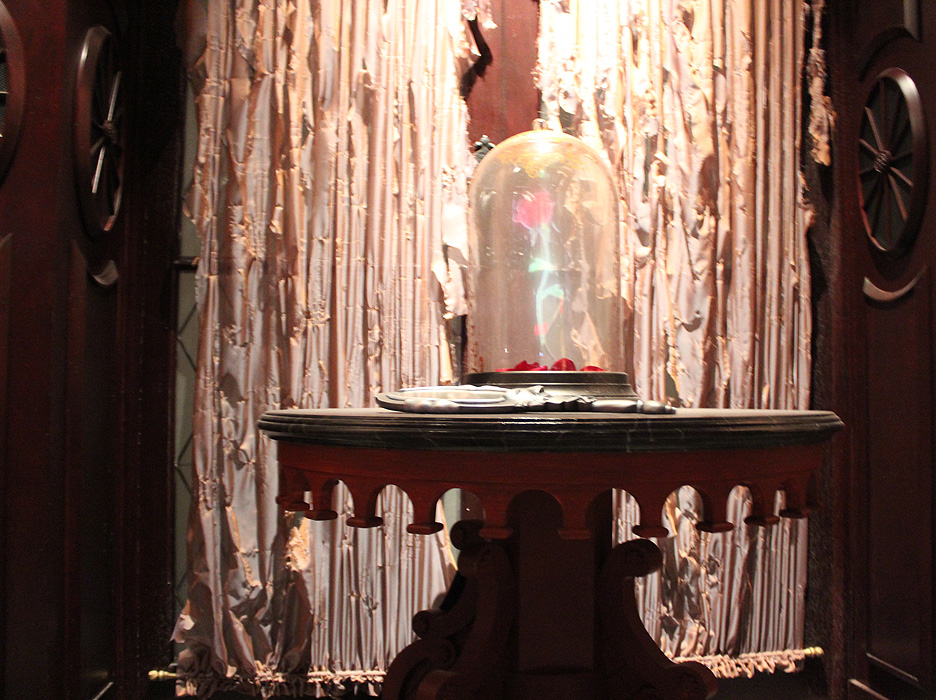 Ana Carolina Moura / Terra