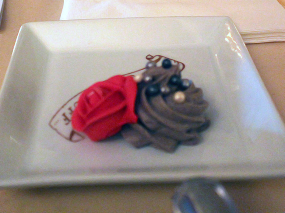 Ana Carolina Moura / Terra