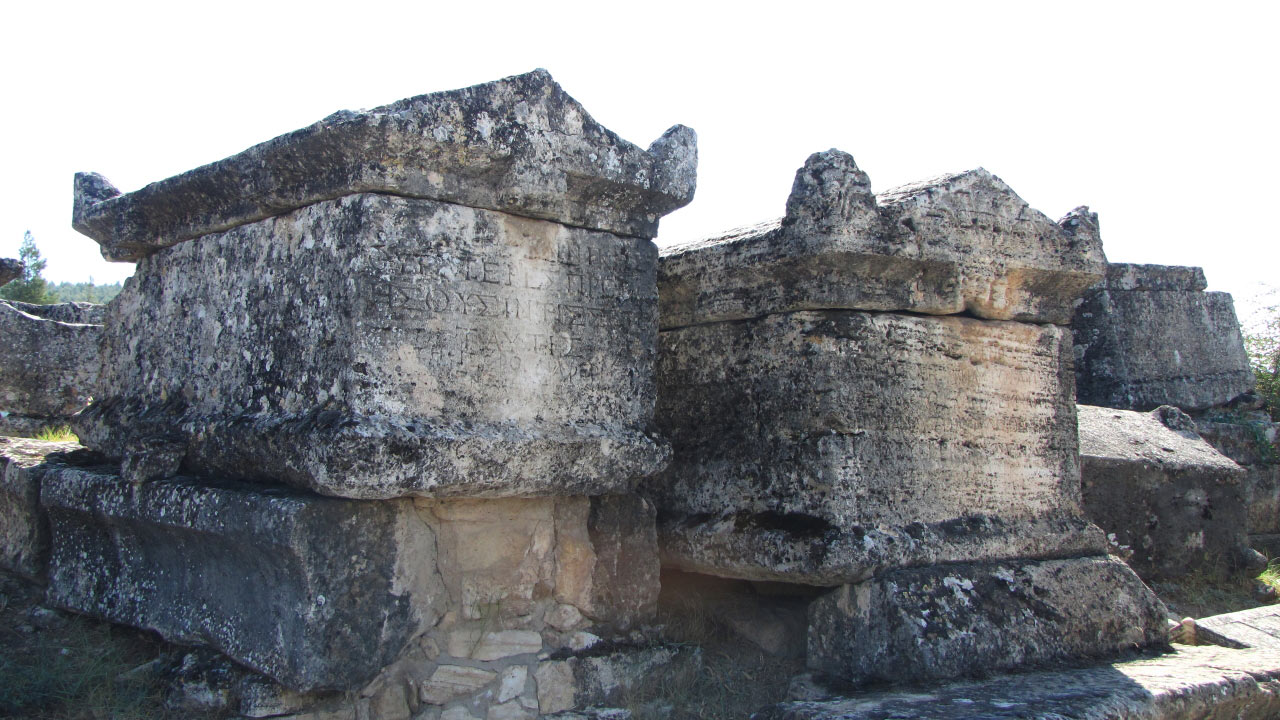 Solly Boussidan/ Especial para Terra