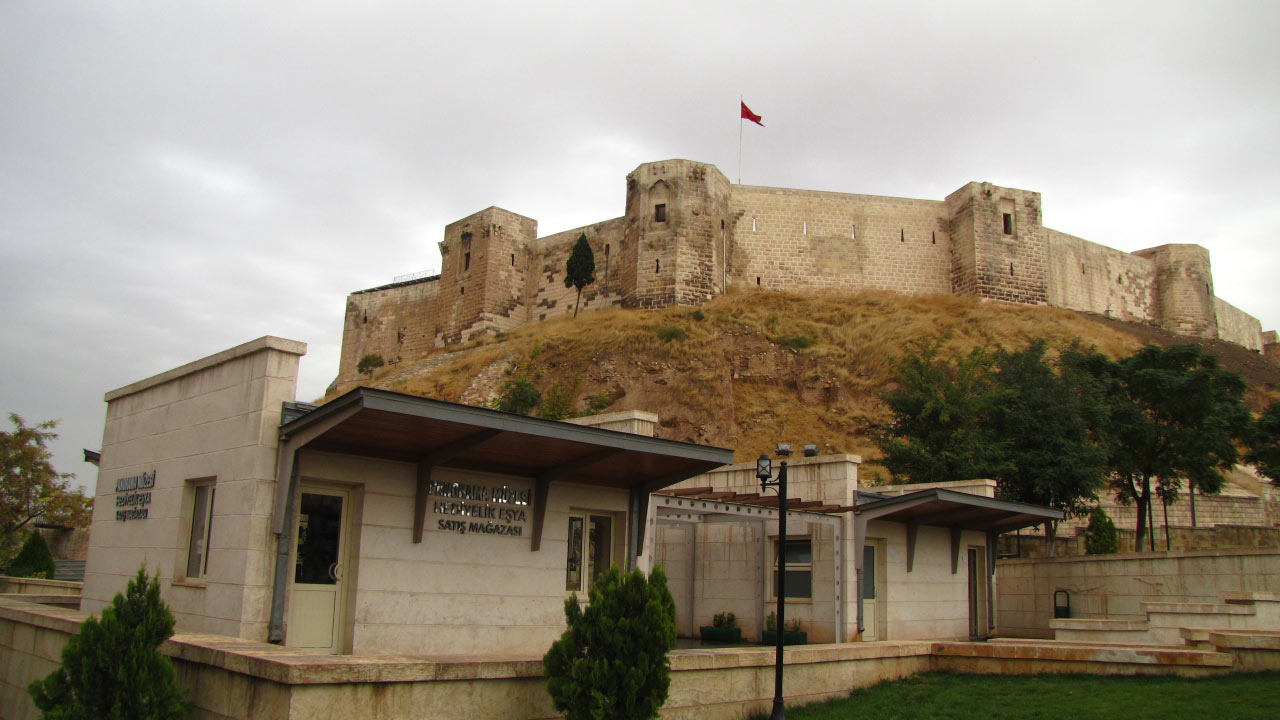 Solly Boussidan/ Especial para Terra