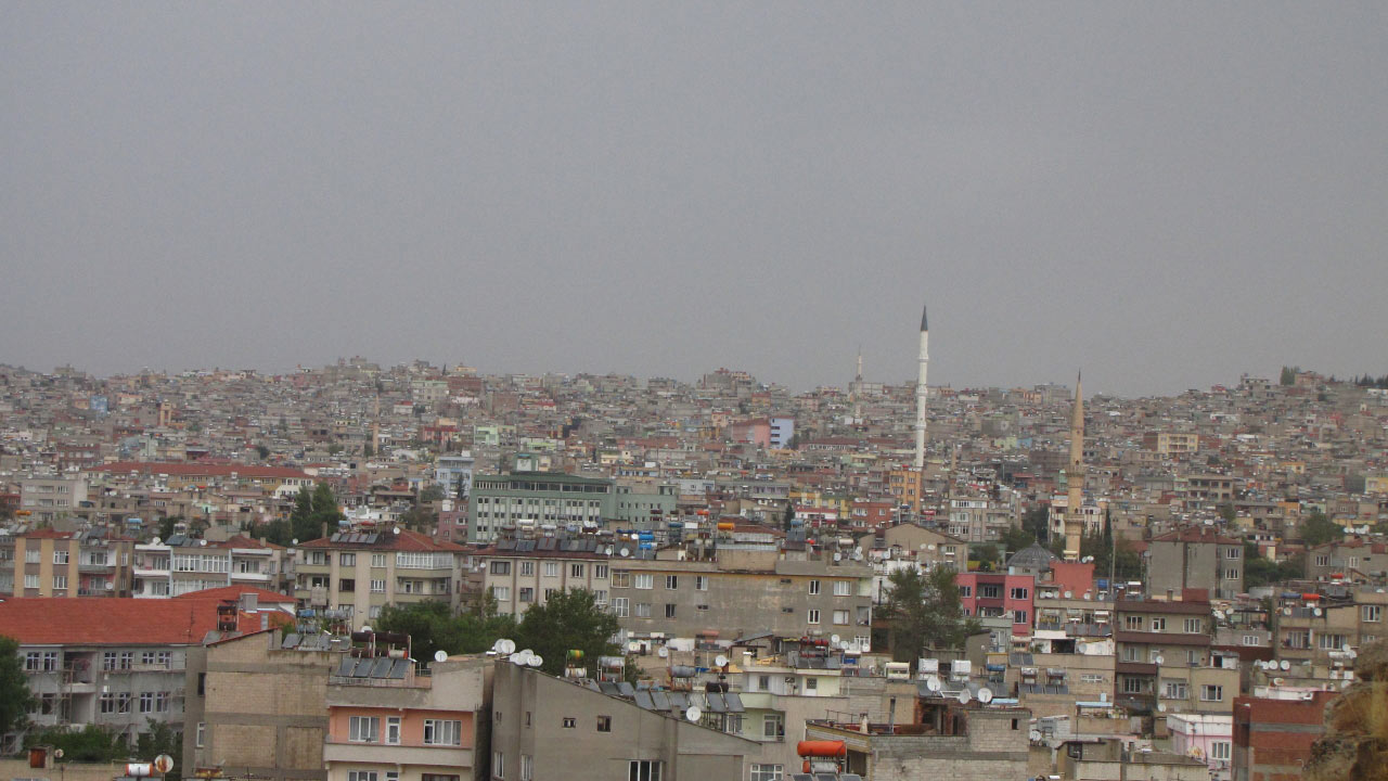 Solly Boussidan/ Especial para Terra