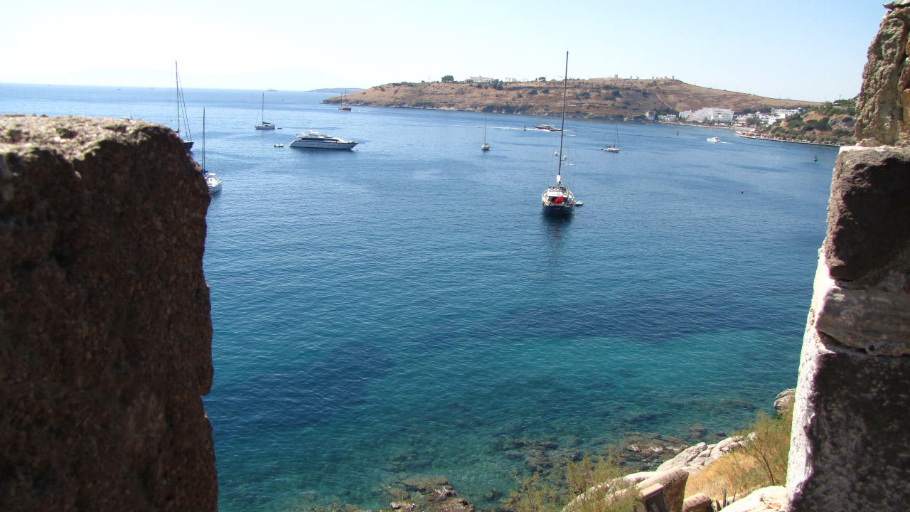 Solly Boussidan/ Especial para Terra