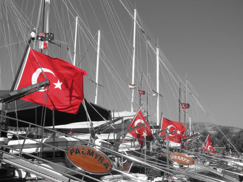 Solly Boussidan/ Especial para Terra