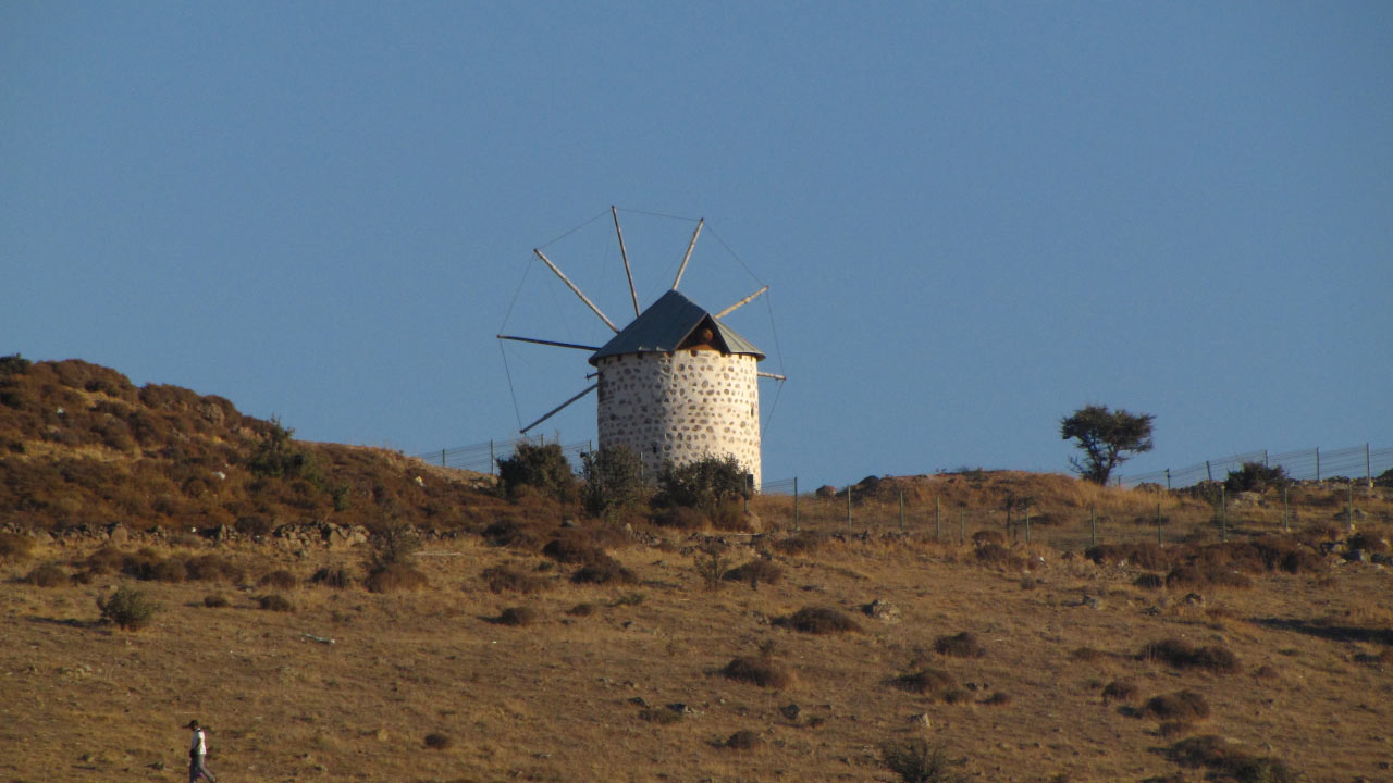 Solly Boussidan/ Especial para Terra