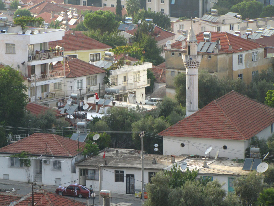 Solly Boussidan/ Especial para Terra