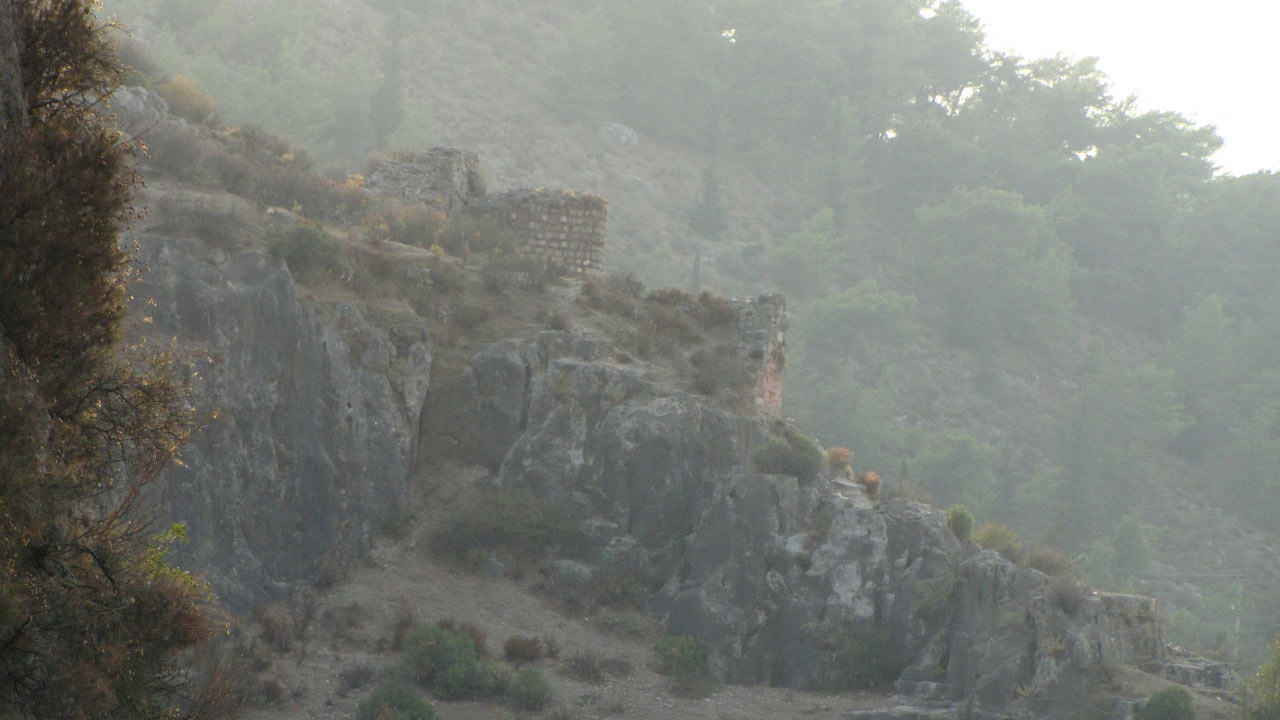 Solly Boussidan/ Especial para Terra