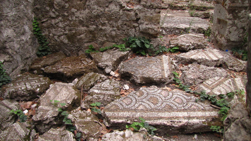 Solly Boussidan/ Especial para Terra