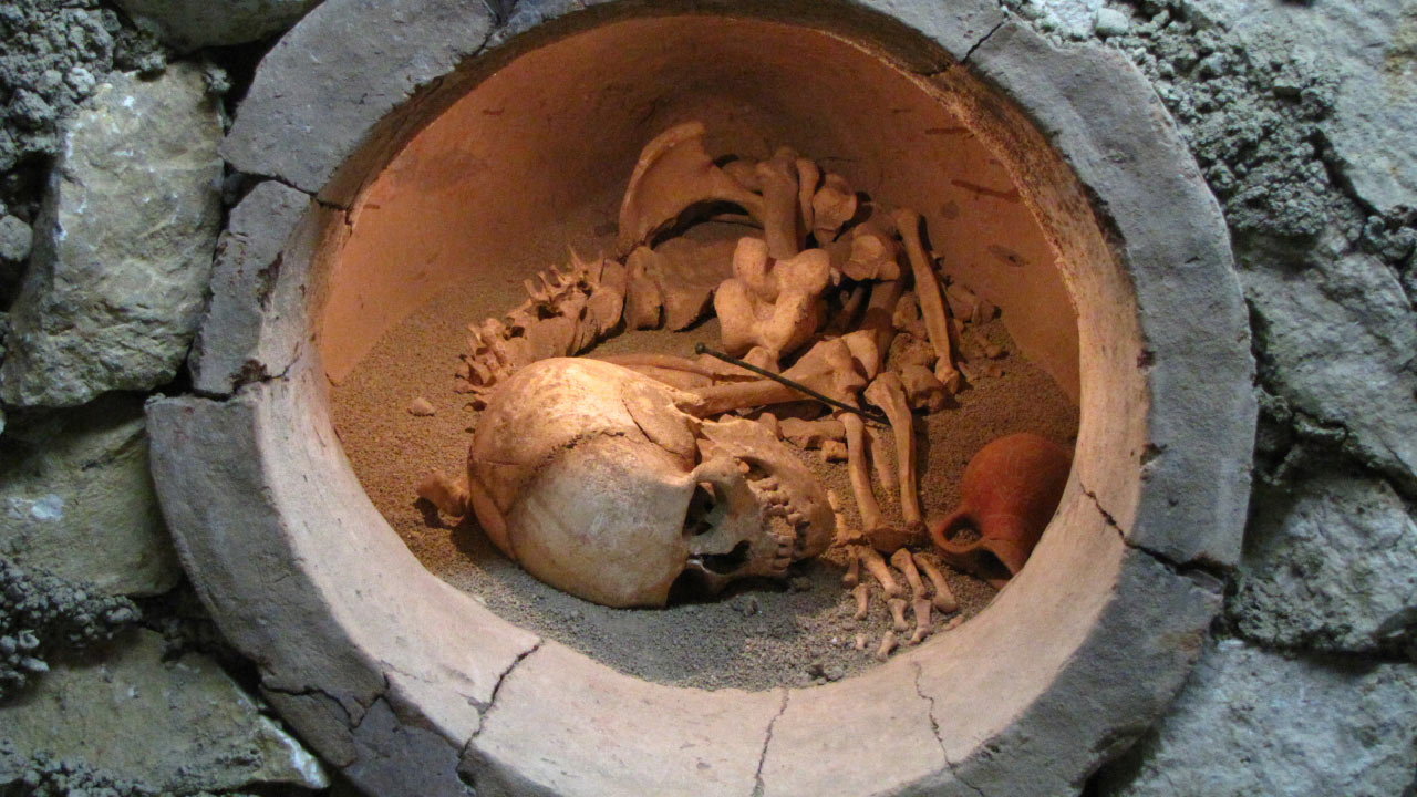 Solly Boussidan/ Especial para Terra