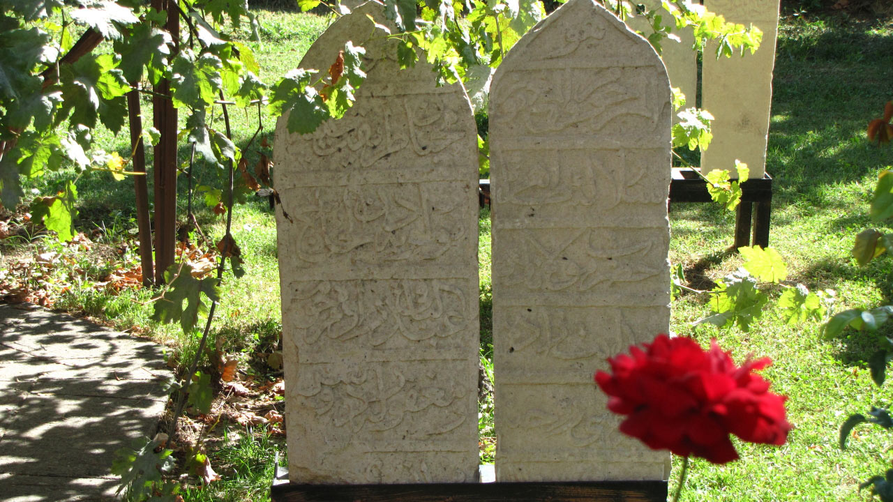 Solly Boussidan/ Especial para Terra