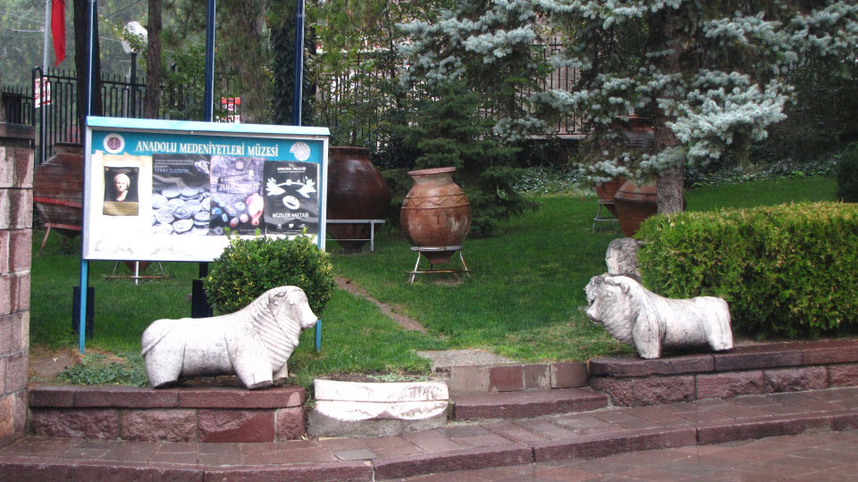 Solly Boussidan/ Especial para Terra