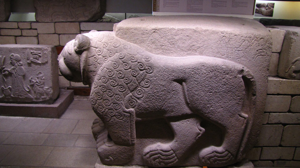 Solly Boussidan/ Especial para Terra