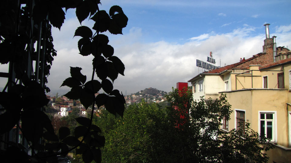 Solly Boussidan/ Especial para Terra