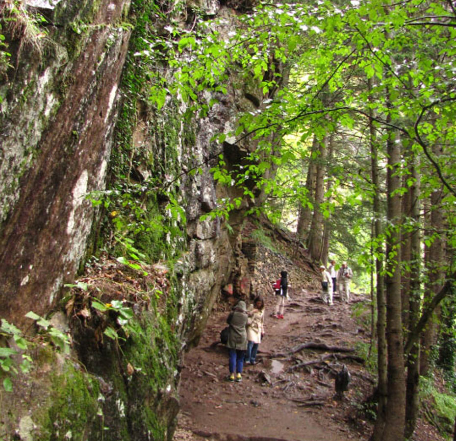 Solly Boussidan/ Especial para Terra