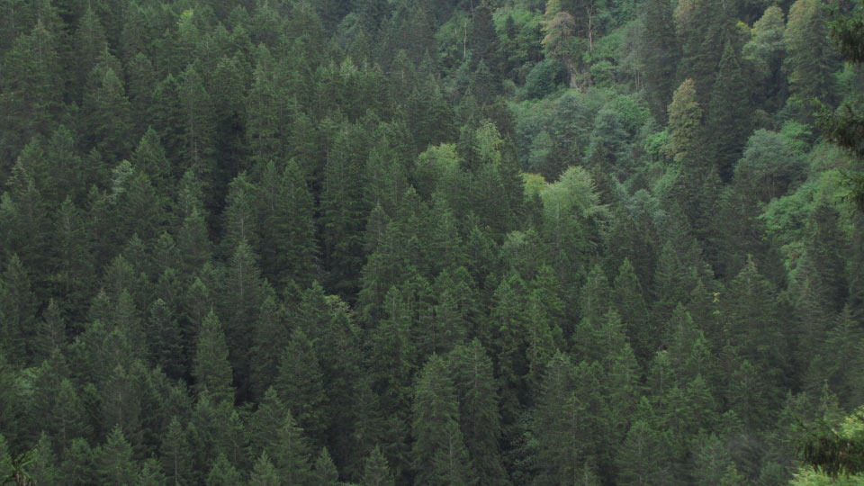 Solly Boussidan/ Especial para Terra