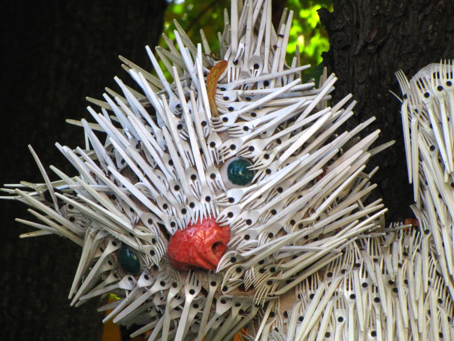 Solly Boussidan/Especial para Terra