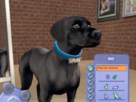 The Sims 3: Pets Divulgação